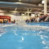 Dortm2013 (17)
